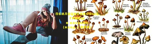 герыч Вяземский