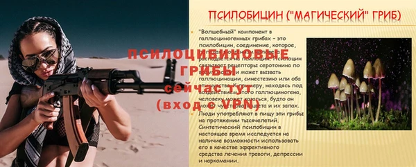 эйфоретик Вязники