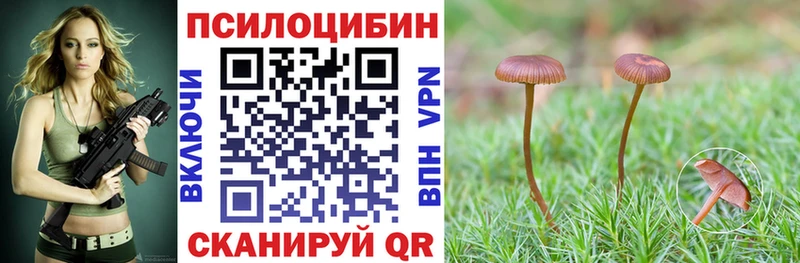 Галлюциногенные грибы Psilocybe  магазин продажи наркотиков  Любим 